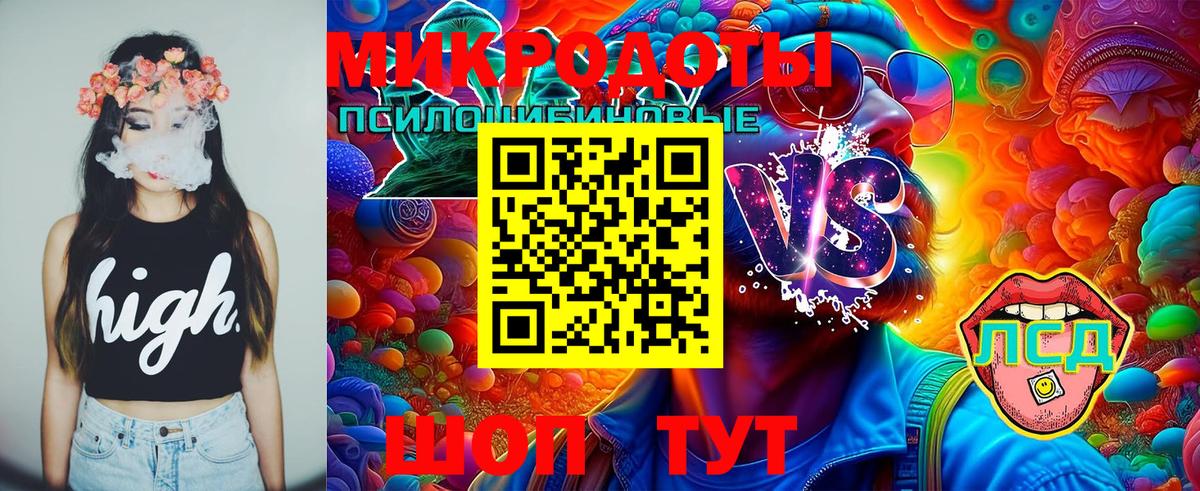 Псилоцибиновые грибы Magic Shrooms  Вход с VPN  Санкт-Петербург  Галлюциногенные грибы мухоморы 